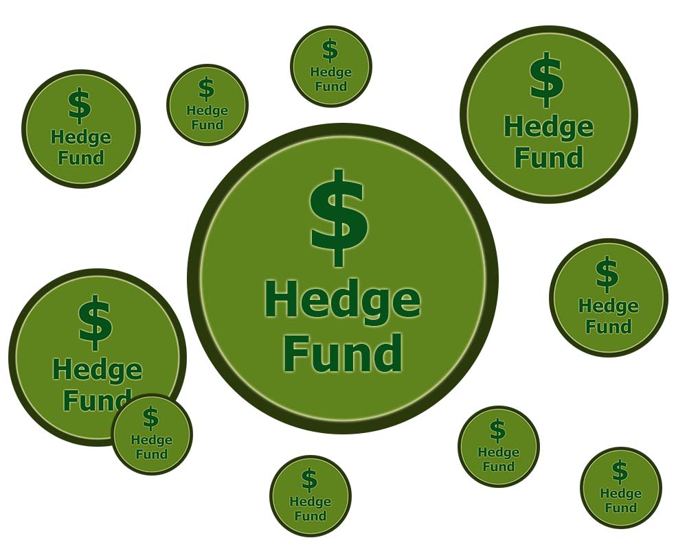 hedge fund